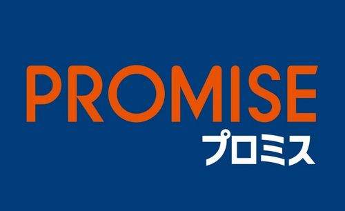 プロミスは審査なしに出来ません